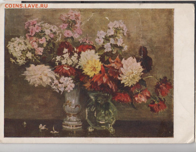 СССР 1954  ПК цветы до 14 06 - 40а