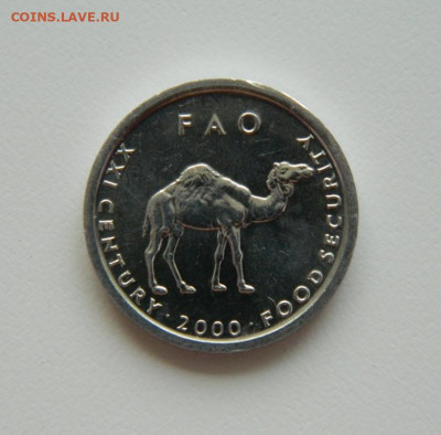 Сомали 10 шиллингов 2000 г.(Юбилейная) Фауна до 14.06.21 - DSCN9645.JPG