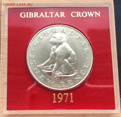 Крона Шайба Гибралтар 1 крона 1971 Обезьяна животные фауна - krona_shajba_gibraltar_1_krona_1971_obezjana_zhivotnye_fauna_pamjatnaja_korobka