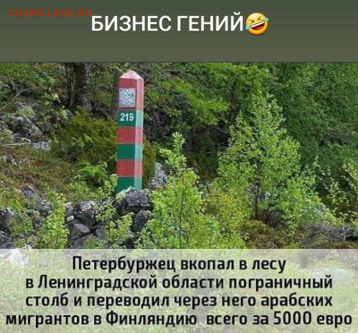 юмор - IMG-20210611-WA0012