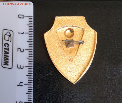 Знак за активную работу по охране общественного порядка - BD9E97F8-036F-47D0-8173-E64E42DD4A51