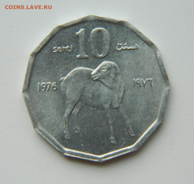 Сомали 10 центов 1976 г. (Фауна)  до 17.06.21 - DSCN9741.JPG