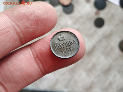 Полушка 1862 ЕМ до 16.06.2021 - 1862 (3) - копия