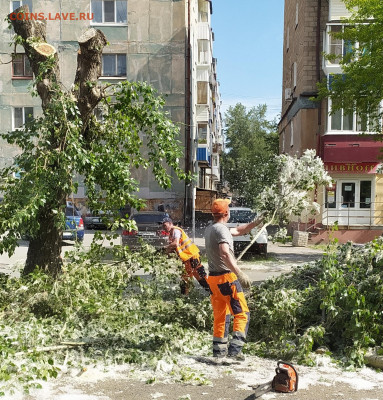 юмор - IMG_20210614_084104