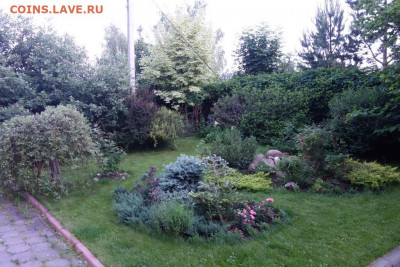 Чатик на самарском - DSC00652.JPG