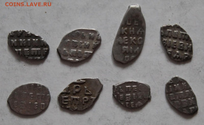 Чешуйки на определение и оценку - 13