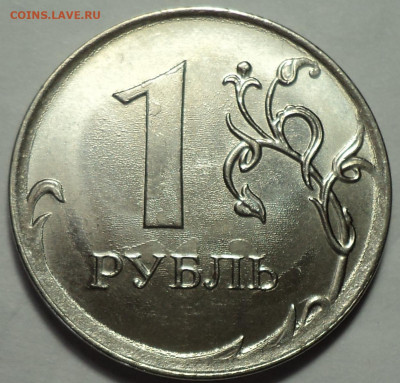 РАЗНОВИДНОСТИ  от  СЛФ - DSC03988.JPG