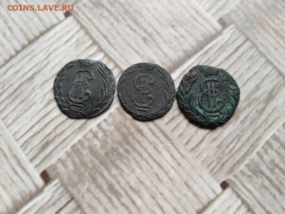 полушки 1768,1771,1778 сибирь до 20.06.2021 - 3пол (4) - копия