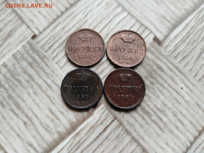 полушки 1854,1856,1857,1861 до 20.06.2021 - 4пол (3) - копия
