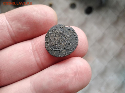 полушка 1769 сибирь до 20.06.2021 - 1769 (25) - копия