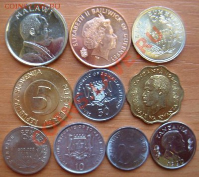 Блеск-1: Животные 10 монет в блеске до 20.10.11 22-00 - Животные-2.JPG