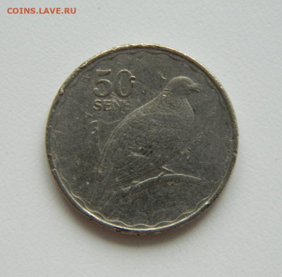 Самоа 50 сене 2011 г. (Фауна) до 24.06.21 - DSCN9853.JPG