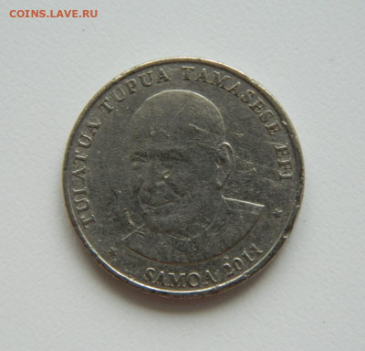 Самоа 50 сене 2011 г. (Фауна) до 24.06.21 - DSCN9854.JPG
