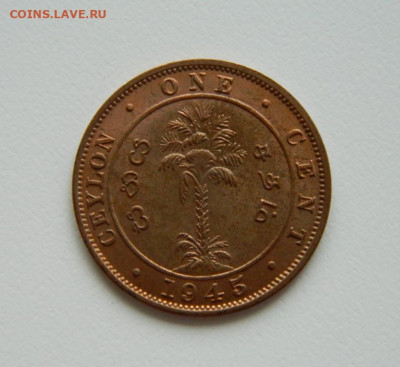 Британский Цейлон 1 цент 1945 г. до 24.06.21 - DSCN9838.JPG