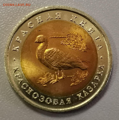 10р 1992г Кр.книга- Краснозоб. казарка, до 27.06 - СГ Казарка-1