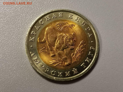 10р 1992г Кр.книга- Амурский тигр, до 27.06 - СГ Тигр-1