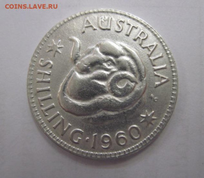 1 шиллинг Австралия 1960  до 24.06.21 - IMG_6070.JPG