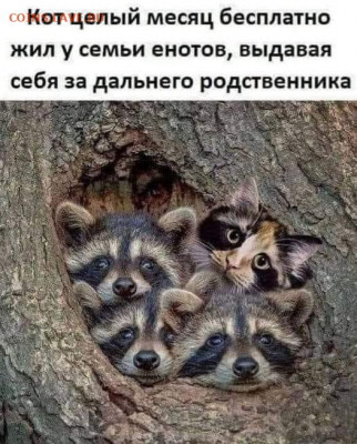 юмор - zg2ah9HbCnM