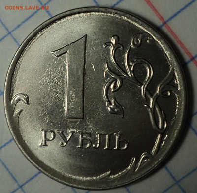 РАЗНОВИДНОСТИ  от  СЛФ - DSC04304.JPG