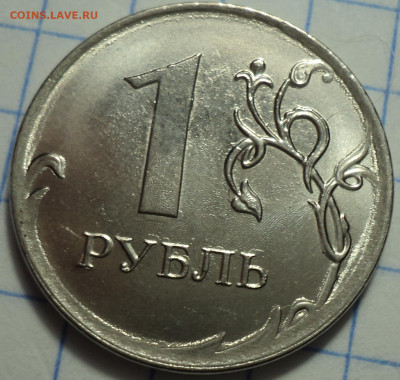 РАЗНОВИДНОСТИ  от  СЛФ - DSC04284.JPG