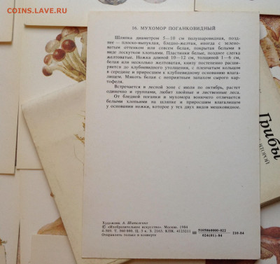 Филокартия ( открытки) СССР, ГДР и др стран 91 шт 2-3 повтор - image