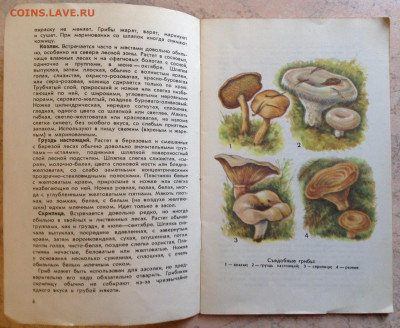 Филокартия ( открытки) СССР, ГДР и др стран 91 шт 2-3 повтор - image