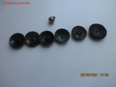 6 пуговиц РИ + серебряная гирька. - IMG_2544.JPG