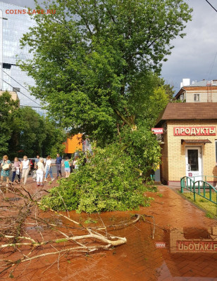 делает - прямо сейчас !!! - Screenshot_20210628-173249_Gallery