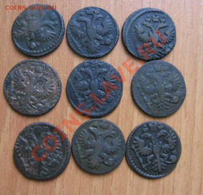 Полушки 9 штук года 1731-1735 - п2