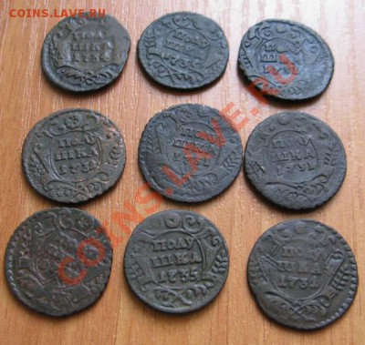 Полушки 9 штук года 1731-1735 - п3