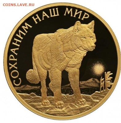 15,55гр - волк 1