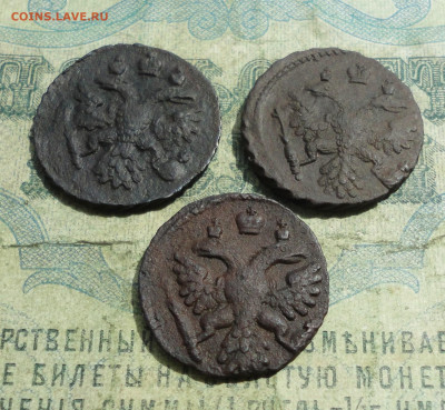 Полушки 1737,38,41 года. - DSC05528.JPG