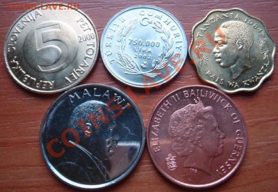 Блеск-2: Животные 5 монет в блеске до 26.10.11 22-00 - 5 животных-2.JPG