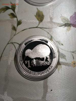1 доллар Киви Птица 2008 Новая Зеландия Серебро до 8.07 - EF22fRRLzrY