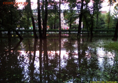 ФОТО - просто фото. Те что получились удачными. - 2021-07-04 21-53-47-ПОСЛЕ ДОЖДЯ (6)