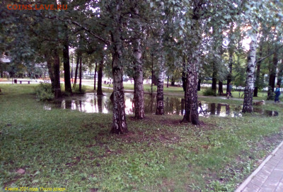 ФОТО - просто фото. Те что получились удачными. - 2021-07-04 21-53-47-ПОСЛЕ ДОЖДЯ (2)