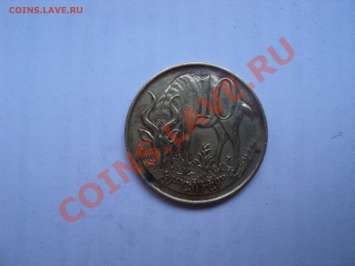 Эфиопия.до 27.10.11г. 16:00 Мск. - эфиоп2