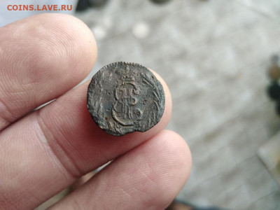 полушка 1771 сибирь до 08.07.2021 - 1771 (33) - копия