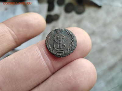 полушка 1771 сибирь до 08.07.2021 - 1771 (35) - копия