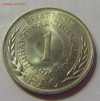1 динар 1976 ФАО Югославия №1 10.07.2021 22:00 МСК - CIMG6543.JPG