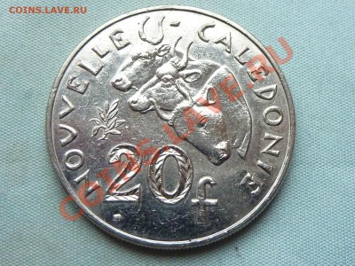 НОВАЯ КАЛЕДОНИЯ 20 франков,2004г. КОРОВЫ до 27.10.11 в 22-00 - MEMO0018.JPG