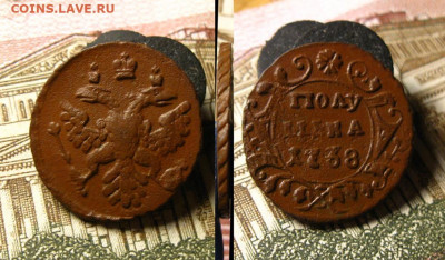 Полушка 1738 и 1750 гг., до 12.07.21 в 22:10 МСК - Полушка 1738 г