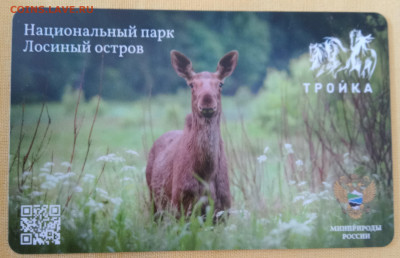 Новинки московского метро и ГУП "Мосгортранс" (проезд) - 0