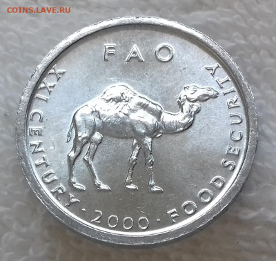 Монеты мира по фиксу - СОМАЛИ 10 шиллингов 2000 ФАО 20200225_125313