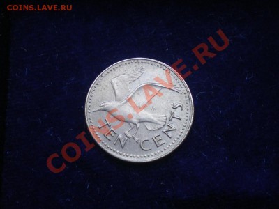 БАРБАДОС 10 центов ПТИЧКА до 23.10.11 в 22.30 - IMGP0418.JPG
