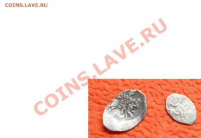 Чешуя. Помогите в определении и оценке. - DSCN00871.JPG