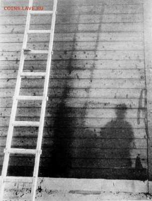 Чатик на самарском - Shadow