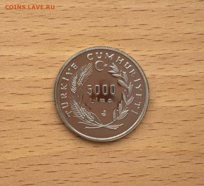Турция 5000 лир 1992 500 лет мира и гармонии турецкие евреи - turcija_5000_lir_1992_500_let_mira_i_garmonii_tureckie_evrei_korabl_parusnik_flot_pruf_proof (3)