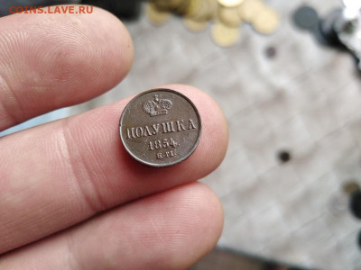 Полушка 1854 ЕМ до 21.07.2021 - 1854 (11) - копия