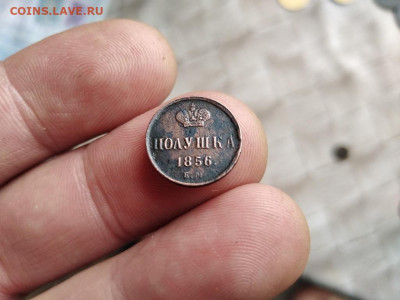 полушка 1856 ЕМ до 21.07.2021 - 1856 (20) - копия